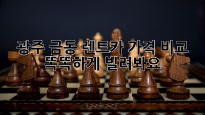 광주 금동 렌트카 가격 비교! 🚗💨 똑똑하게 빌려봐요!